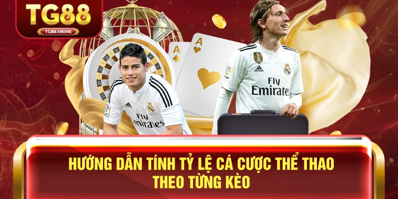 Hướng Dẫn Tính Tỷ Lệ Cá Cược Thể Thao Theo Từng Kèo