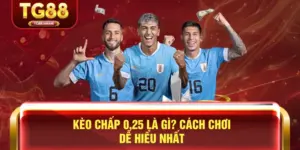 Kèo Chấp 0.25 Là Gì? Cách Chơi Dễ Hiểu Nhất
